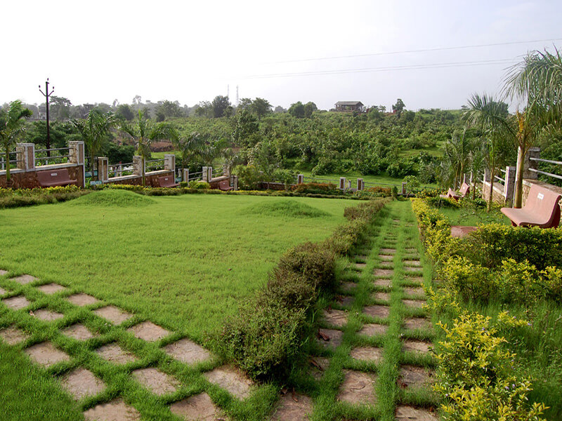 SloppyLawn-Karjat-1