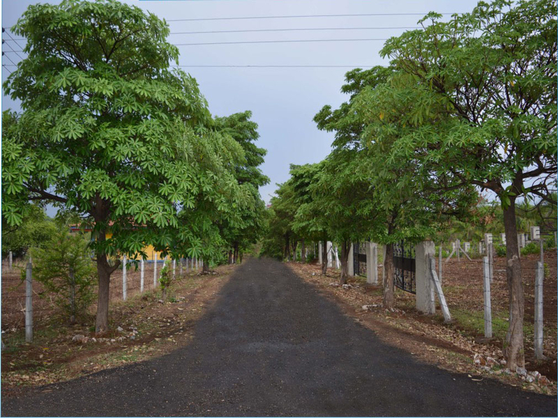 Roads 5