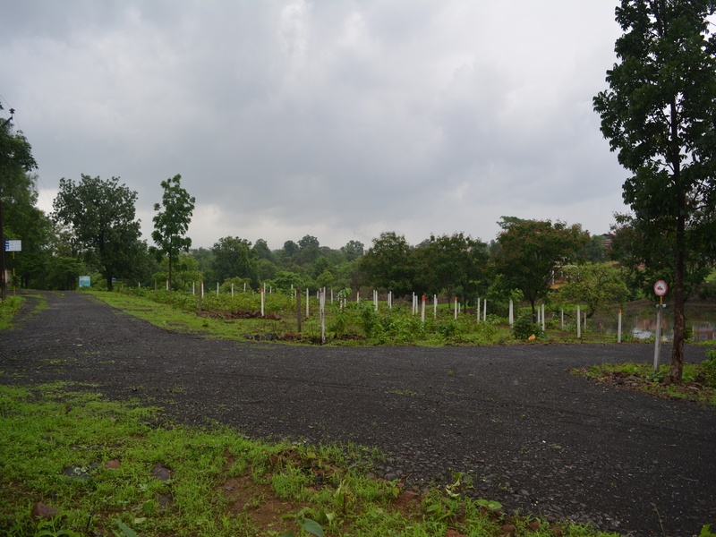 Roads 2