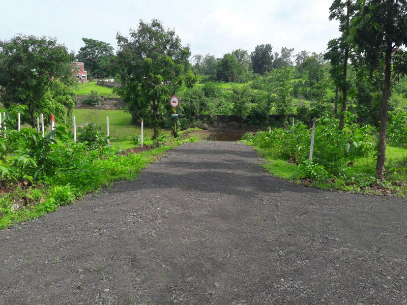 Roads 3